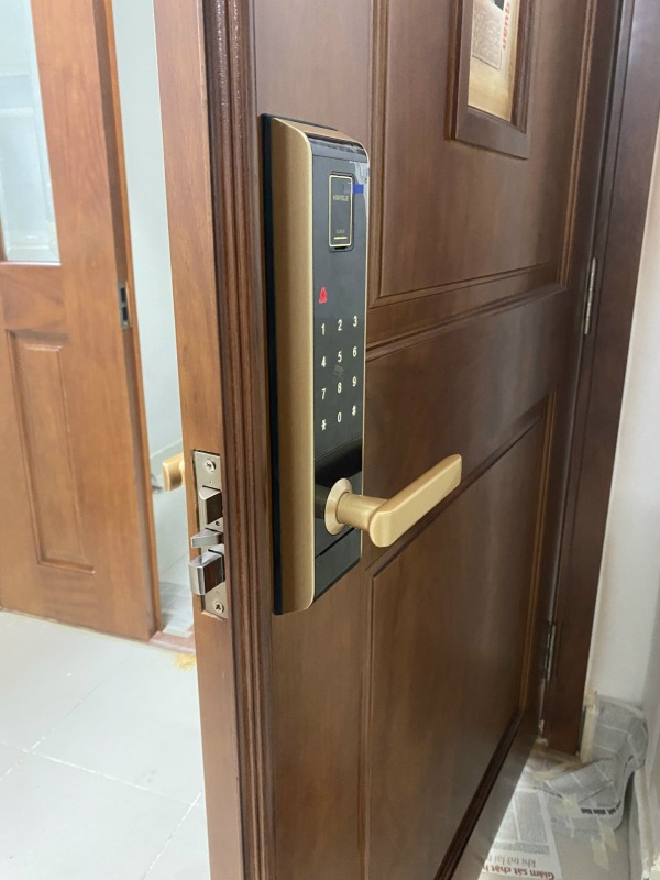 KHÓA ĐIỆN TỬ HAFELE EL9000-TCS 912.05.376 MÀU VÀNG THƯƠNG HIỆU ĐỨC 20 KHÓA ĐIỆN TỬ HAFELE EL9000-TCS 912.05.376 MÀU VÀNG THƯƠNG HIỆU ĐỨC