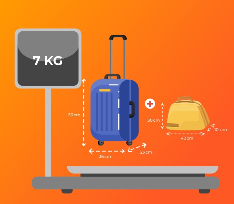 quy dinh hanh ly xach tay 7 1675065022 1 Top 4 lưu ý về trọng lượng vali điện khi bay?
