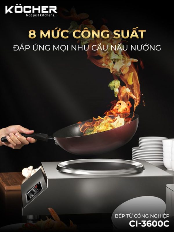 BẾP TỪ CÔNG NGHIỆP KOCHER CI-3600C 21 BẾP TỪ CÔNG NGHIỆP KOCHER CI-3600C