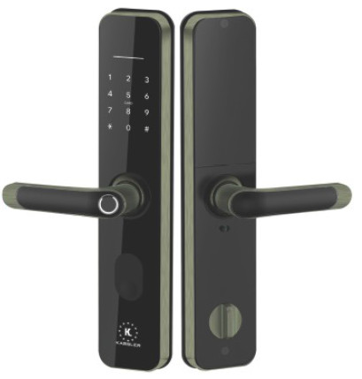 KHOÁ VÂN TAY KASSLER KL-696 GREEN BRONZE APP-REMOTE