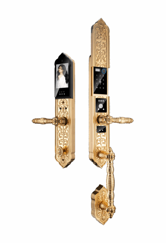 KHÓA VÂN TAY ĐẠI SẢNH HUBERT HB DSI8F EU GOLD 24K