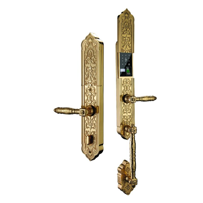 KHÓA VÂN TAY ĐẠI SẢNH HUBERT HB DS79 GOLD