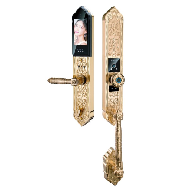 KHÓA VÂN TAY ĐẠI SẢNH HUBERT HB DS79F GOLD