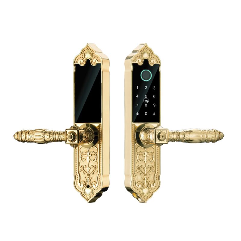 KHÓA VÂN TAY ĐẠI SẢNH HUBERT HB DS79 GOLD MINI