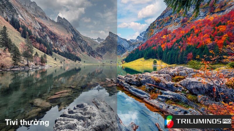 GOOGLE TIVI SONY 4K 75 INCH K-75S30 41 GOOGLE TIVI SONY 4K 75 INCH K-75S30