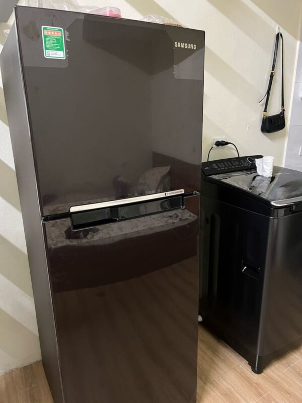 Tủ lạnh Samsung Inverter 236 lít RT22M4032BY/SV 33 Tủ lạnh Samsung Inverter 236 lít RT22M4032BY/SV