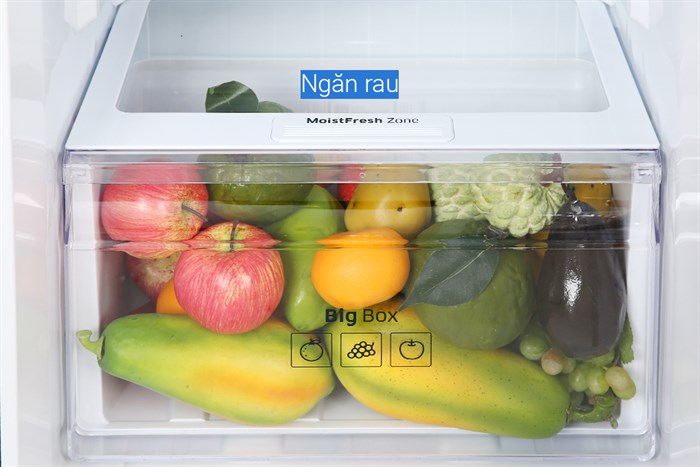 Tủ lạnh Samsung Inverter 256 lít RT25M4032BU/SV 7 Tủ lạnh Samsung Inverter 256 lít RT25M4032BU/SV