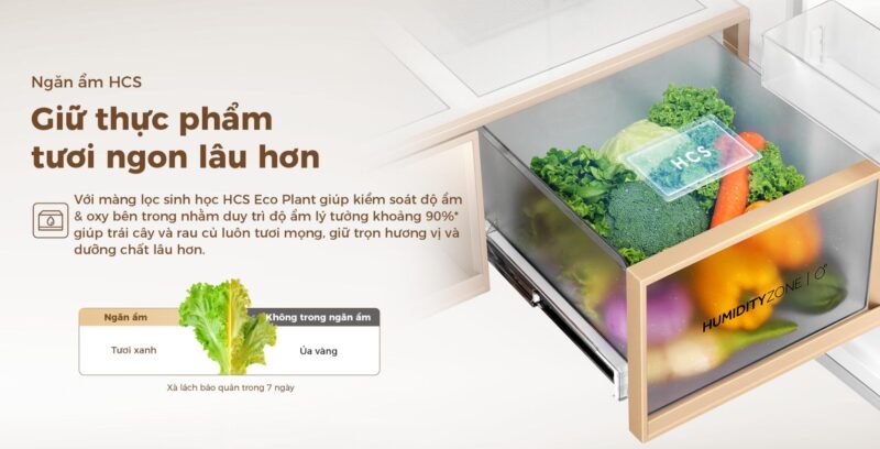 TỦ LẠNH AQUA INVERTER 508 LÍT AQR-MA580XA(MC)U1 50 TỦ LẠNH AQUA INVERTER 508 LÍT AQR-MA580XA(MC)U1