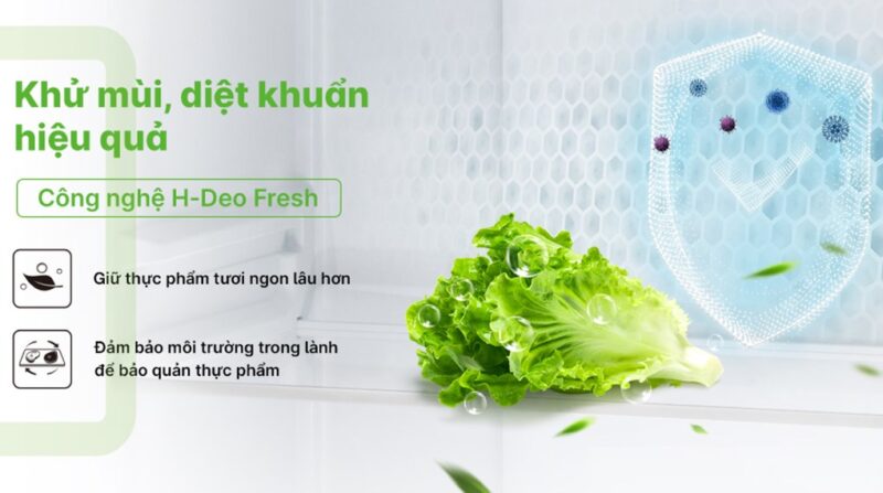 TỦ LẠNH AQUA INVERTER 469 LÍT AQR-M536XA(WGB) 34 TỦ LẠNH AQUA INVERTER 469 LÍT AQR-M536XA(WGB)