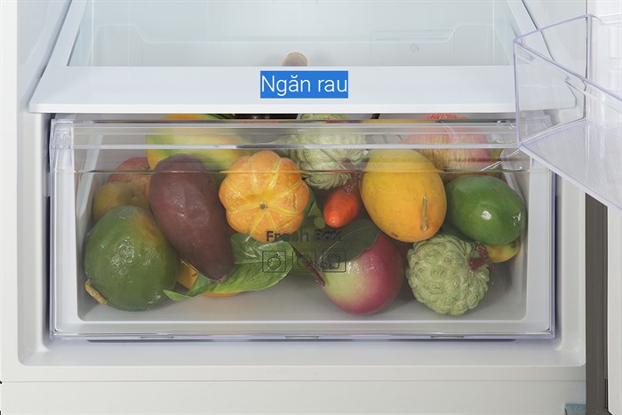 Tủ lạnh Samsung Inverter 305 lít RT31CG5424B1SV 6 Tủ lạnh Samsung Inverter 305 lít RT31CG5424B1SV