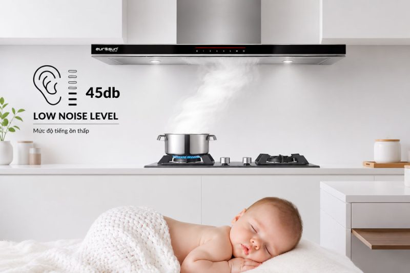 MÁY HÚT MÙI GẮN TƯỜNG EUROSUN EH-90AF79E 11 MÁY HÚT MÙI GẮN TƯỜNG EUROSUN EH-90AF79E